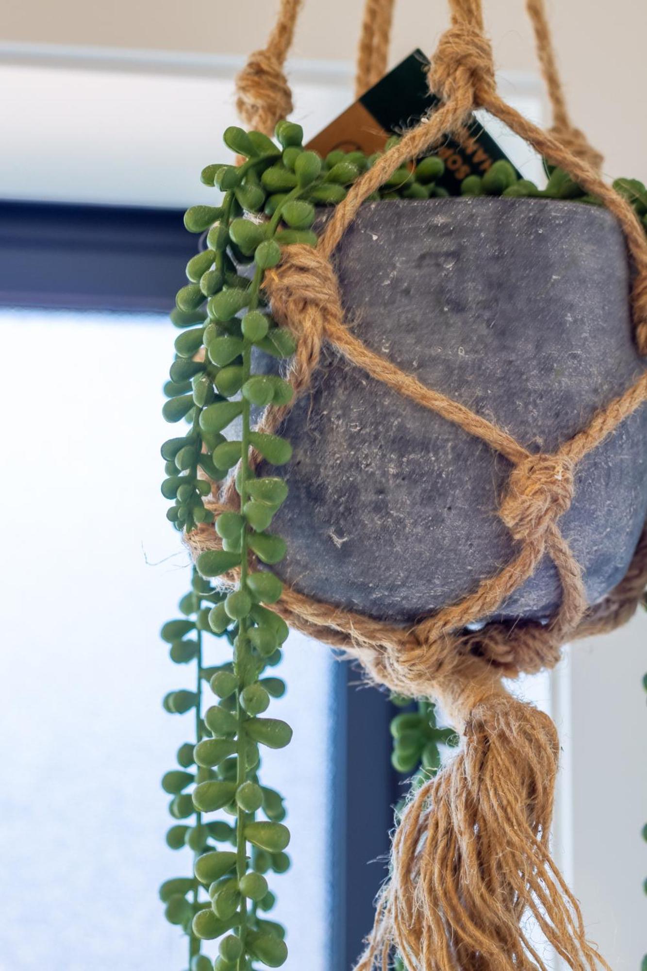Studio Bliss: Explore From Wilmer St Christchurch Ngoại thất bức ảnh