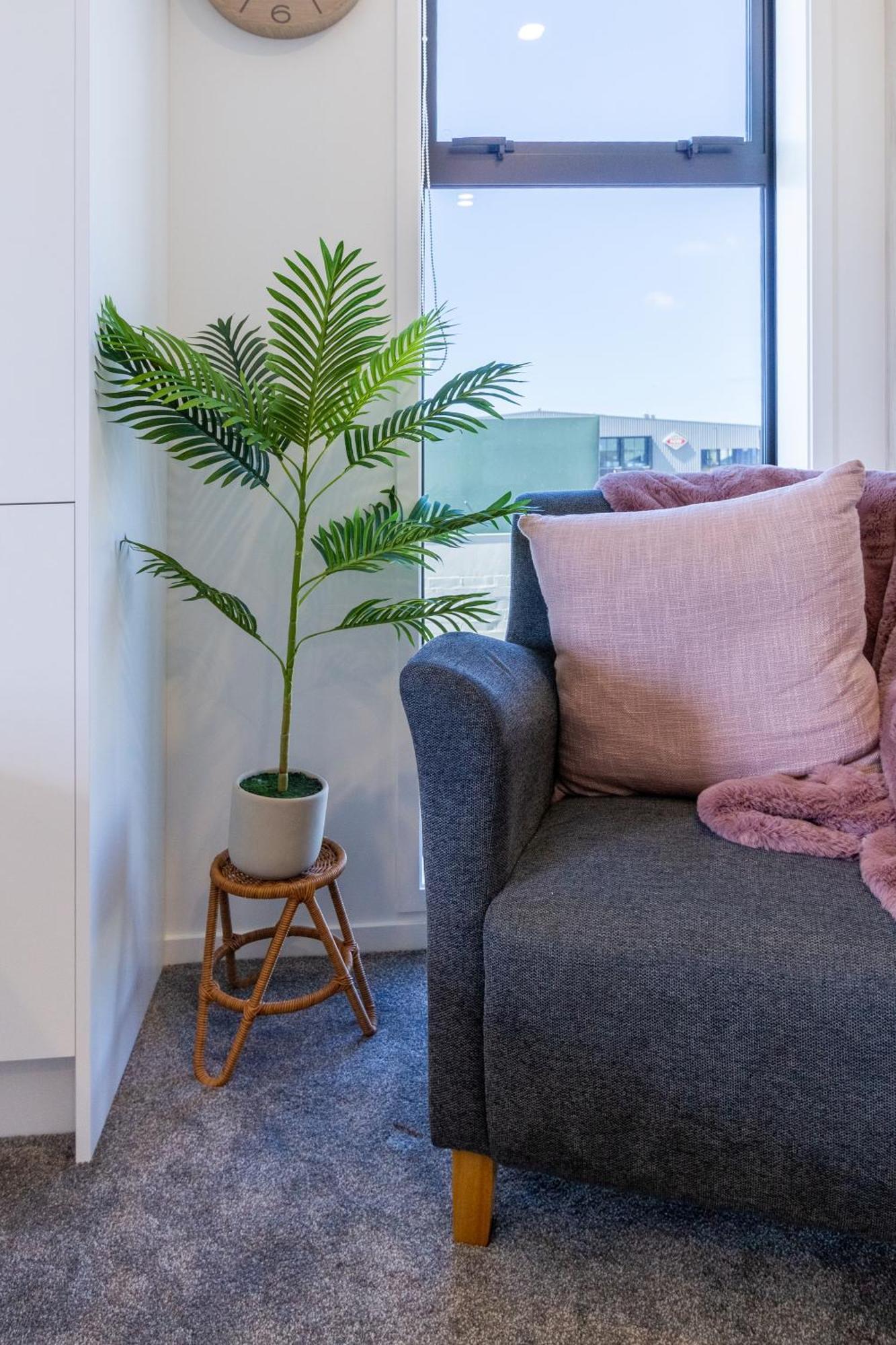 Studio Bliss: Explore From Wilmer St Christchurch Ngoại thất bức ảnh